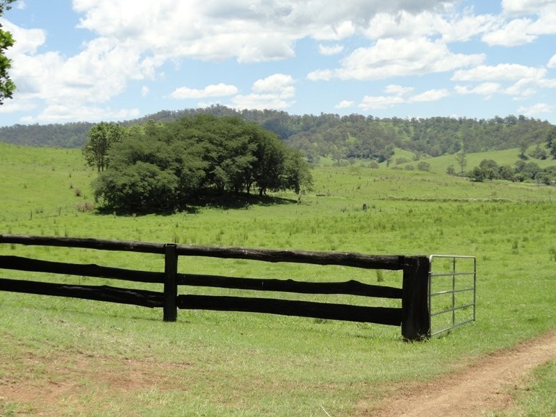 Lynch’s Creek Road, Kyogle NSW 2474