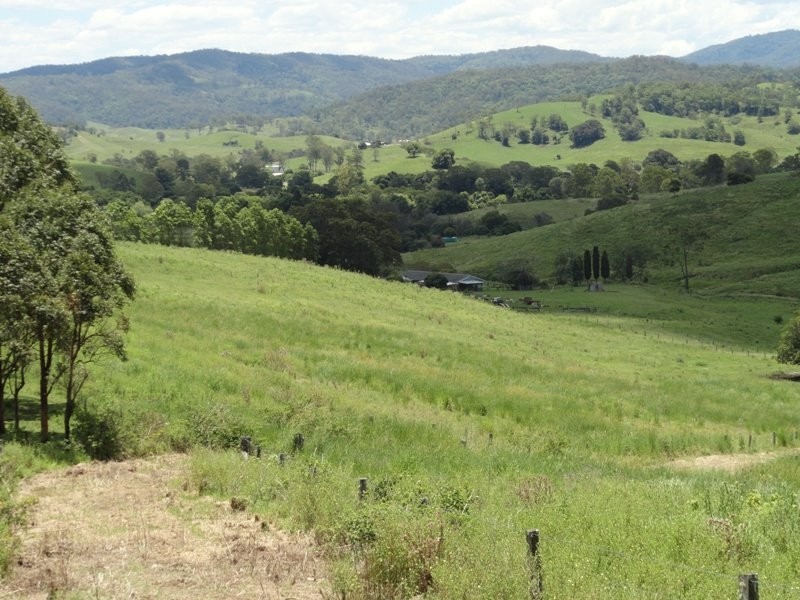 Lynch’s Creek Road, Kyogle NSW 2474