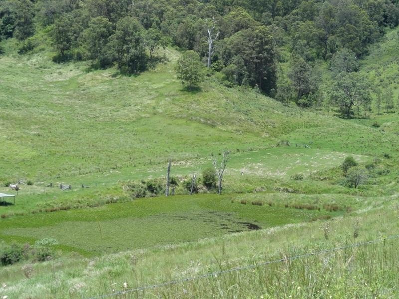 Lynch’s Creek Road, Kyogle NSW 2474