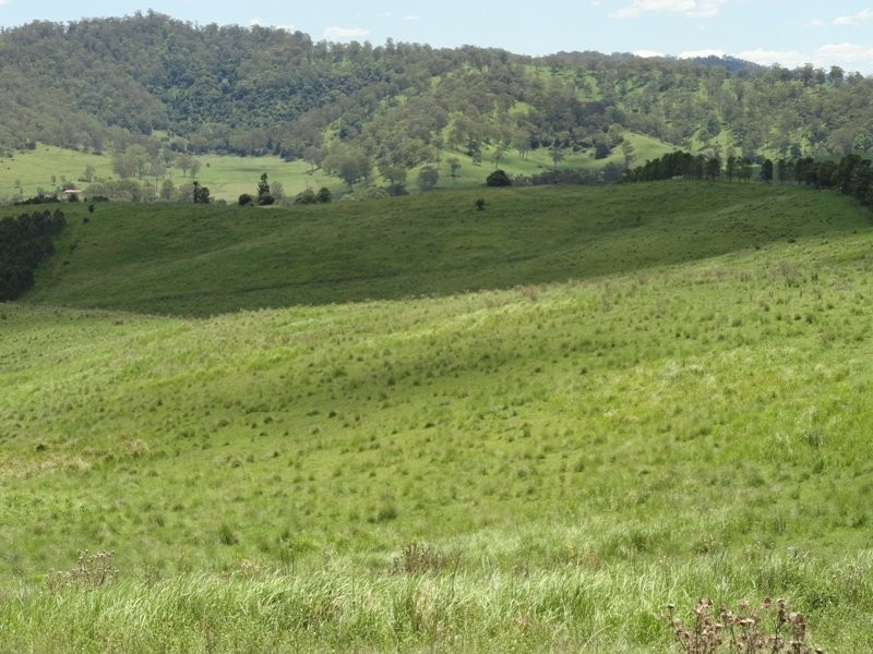 Lynch’s Creek Road, Kyogle NSW 2474