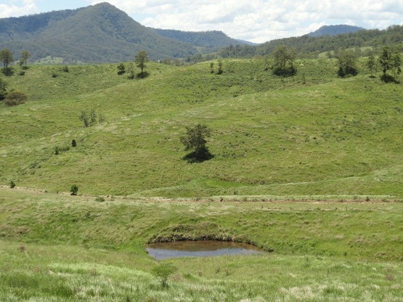 Lynch’s Creek Road, Kyogle NSW 2474
