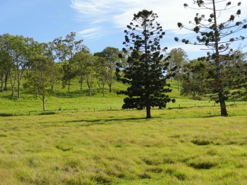 1300 Caniaba Road, Casino NSW 2470