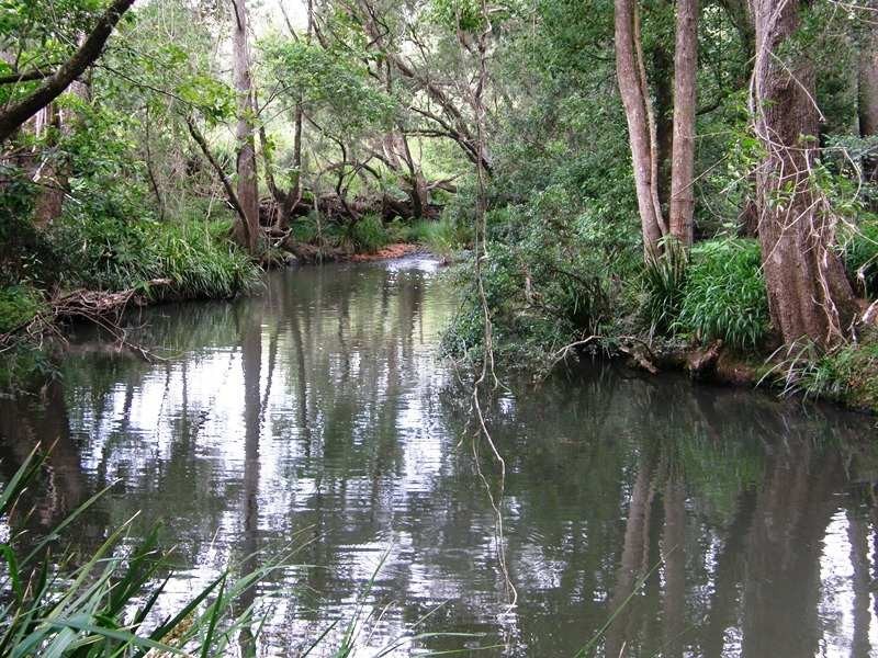 Afterlee Road, Kyogle NSW 2474