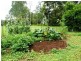 Afterlee Road, Kyogle NSW 2474