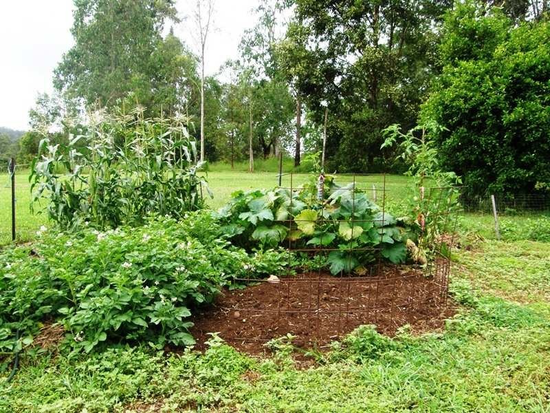 Afterlee Road, Kyogle NSW 2474