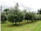Afterlee Road, Kyogle NSW 2474