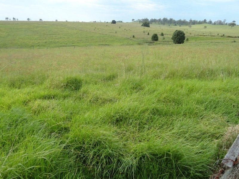 873 Knights Road, Kyogle NSW 2474