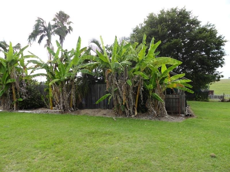 873 Knights Road, Kyogle NSW 2474