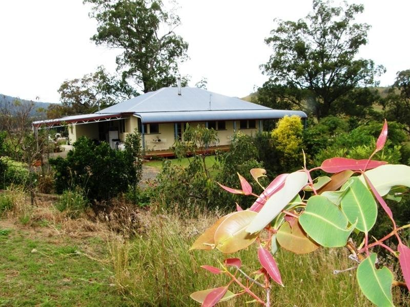 Back Creek Road, Kyogle NSW 2474