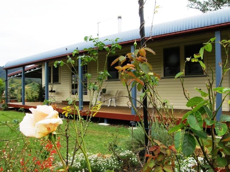 Back Creek Road, Kyogle NSW 2474