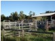 Back Creek Road, Kyogle NSW 2474