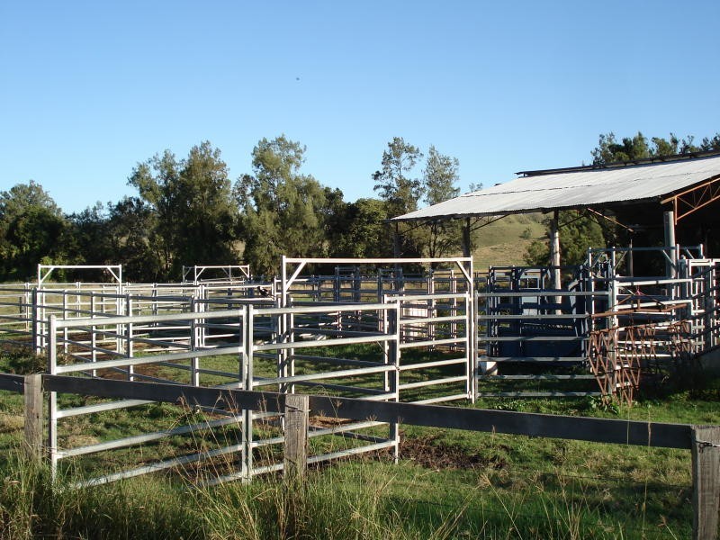 Back Creek Road, Kyogle NSW 2474