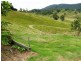 Back Creek Road, Kyogle NSW 2474