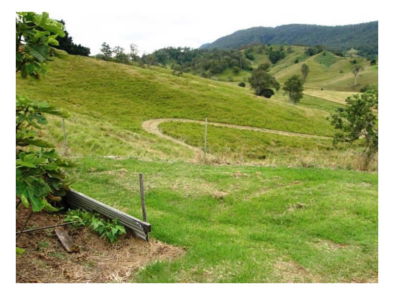 Back Creek Road, Kyogle NSW 2474