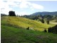 Back Creek Road, Kyogle NSW 2474