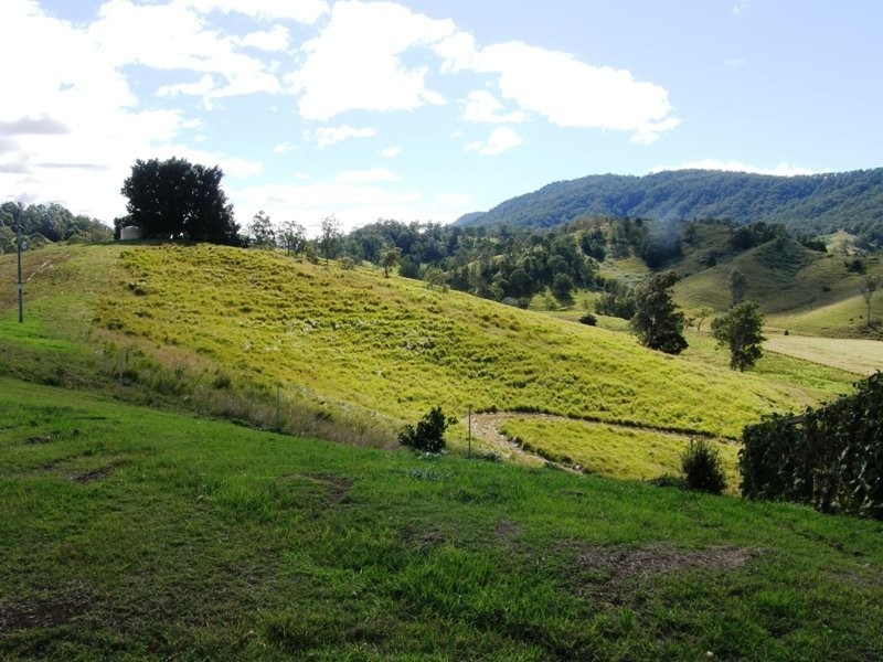 Back Creek Road, Kyogle NSW 2474