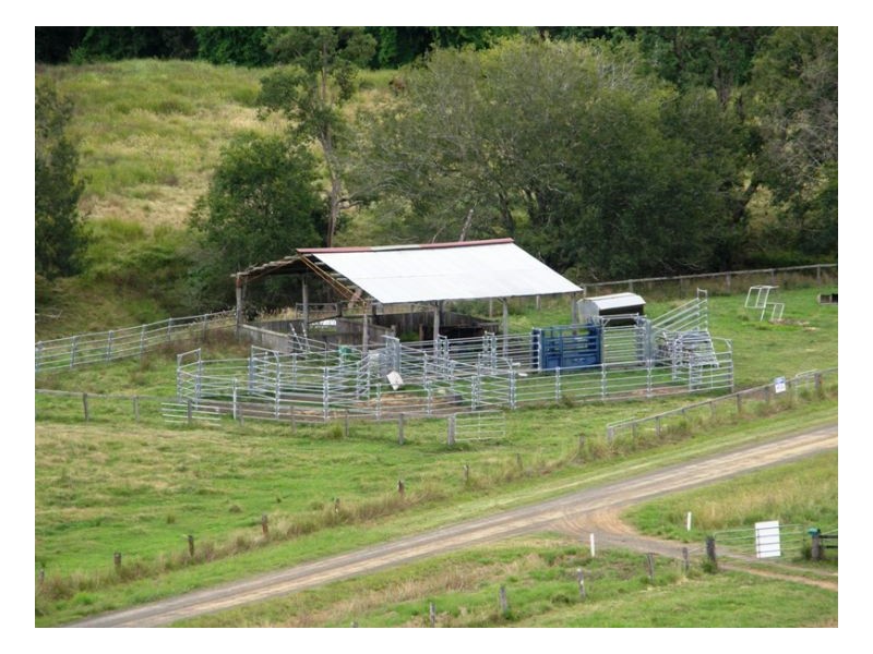 Back Creek Road, Kyogle NSW 2474
