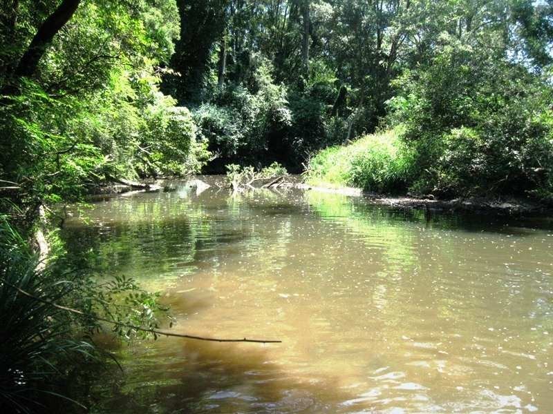 109 Atkins Road Cawongla, Kyogle NSW 2474