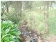 319 Ferndale Road, Kyogle NSW 2474