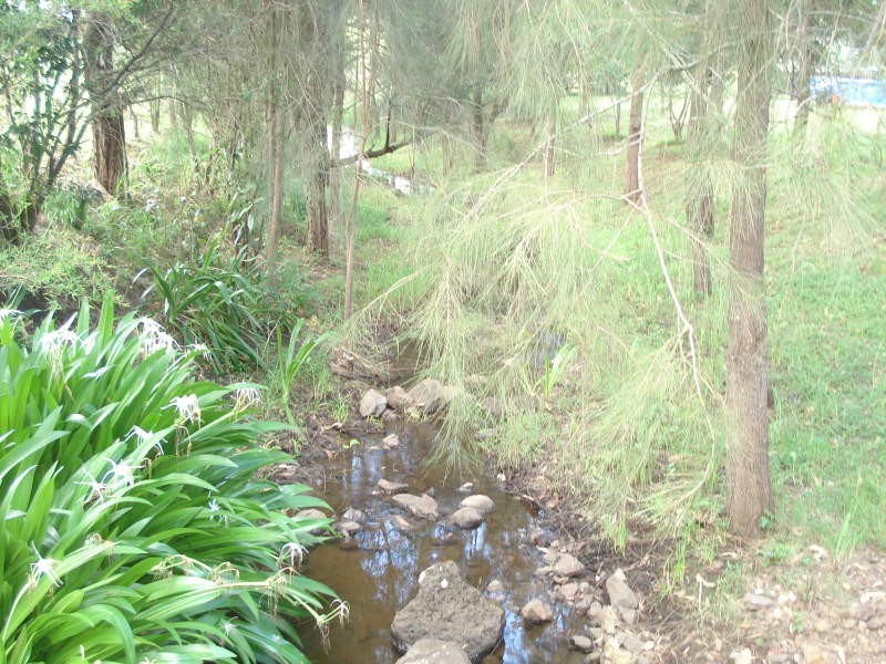 319 Ferndale Road, Kyogle NSW 2474