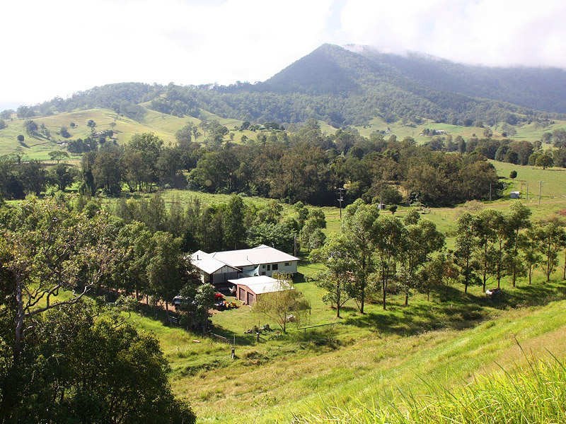 319 Ferndale Road, Kyogle NSW 2474