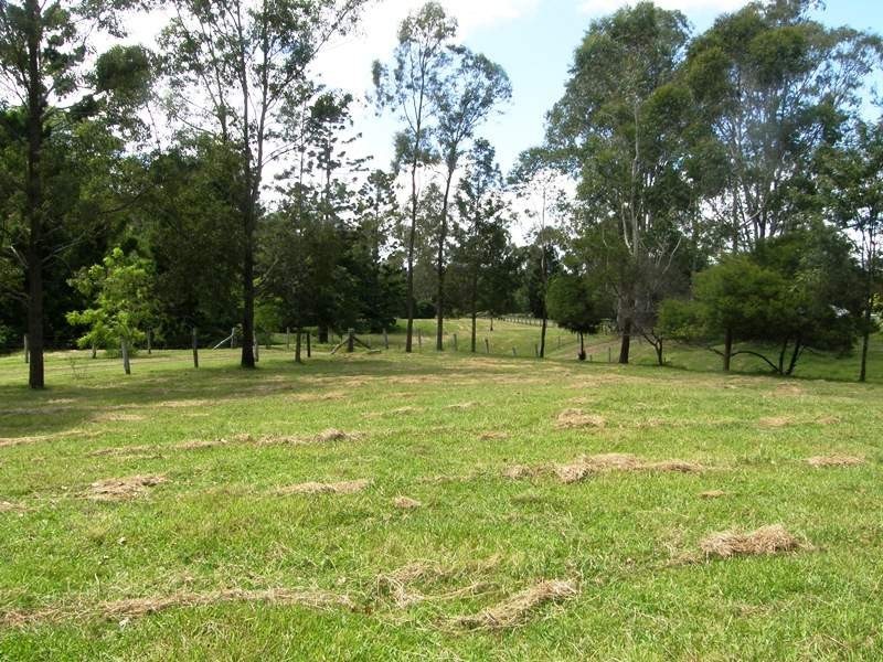 482 Afterlee Road, Kyogle NSW 2474