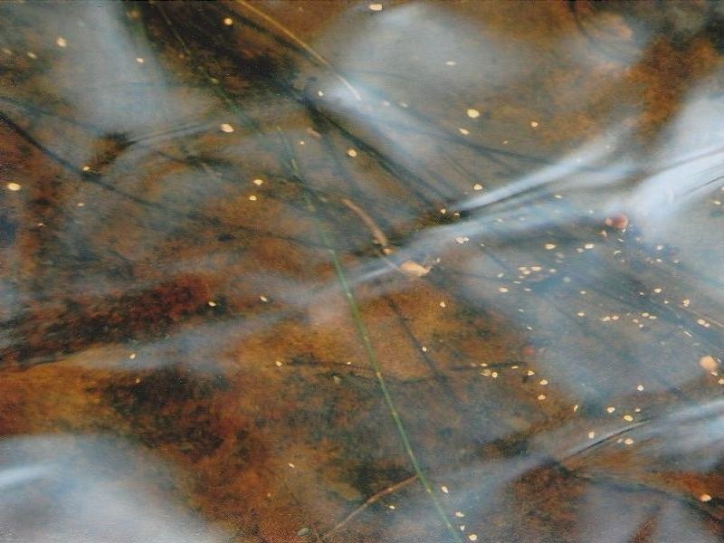 4471 Paddys Flat Road Tooloom, Kyogle NSW 2474