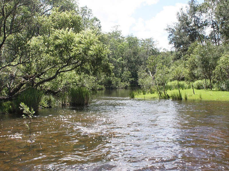 4471 Paddys Flat Road Tooloom, Kyogle NSW 2474