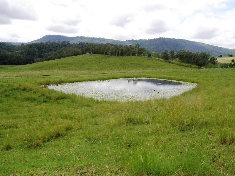 Hillyards Road, Boorabee Park NSW 2480