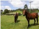 Hillyards Road, Boorabee Park NSW 2480