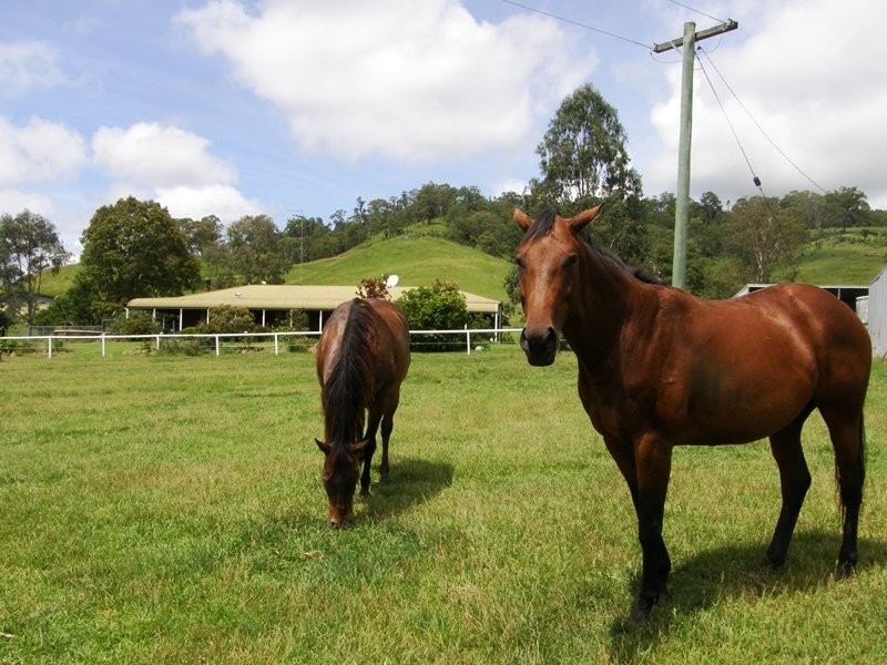 Hillyards Road, Boorabee Park NSW 2480