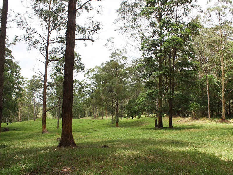 Green Pigeon Road, Kyogle NSW 2474