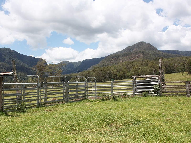 Green Pigeon Road, Kyogle NSW 2474