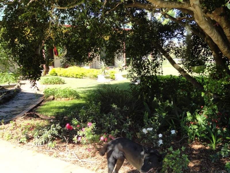 742 Ghinni Ghi Road, Kyogle NSW 2474