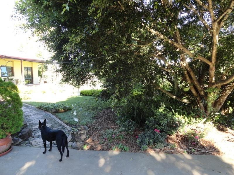 742 Ghinni Ghi Road, Kyogle NSW 2474