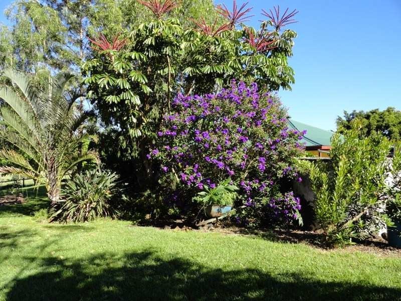 742 Ghinni Ghi Road, Kyogle NSW 2474