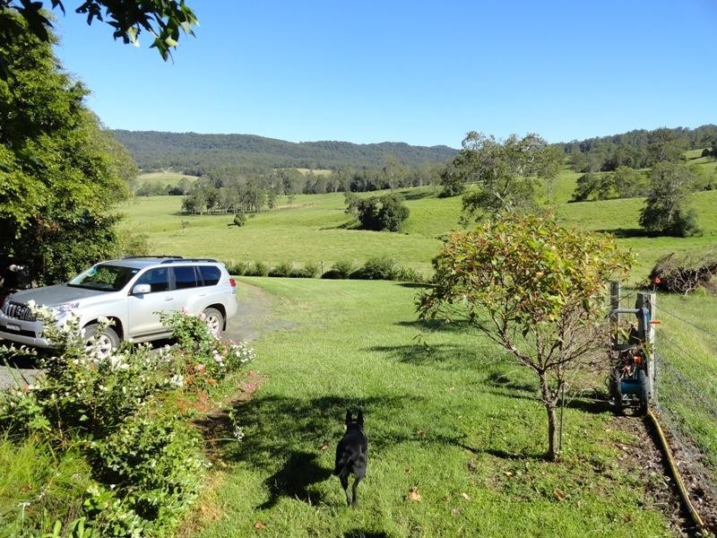 742 Ghinni Ghi Road, Kyogle NSW 2474