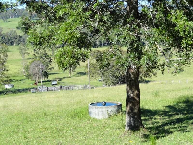 742 Ghinni Ghi Road, Kyogle NSW 2474