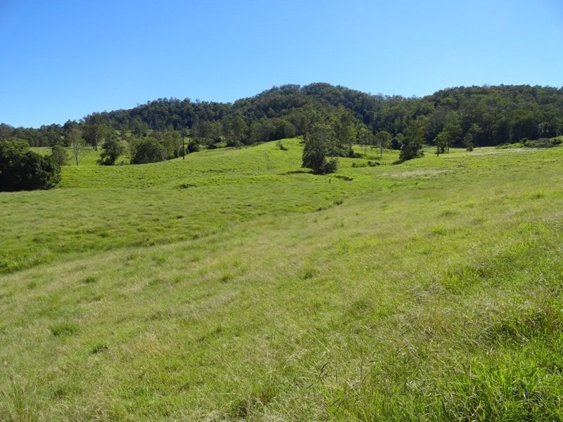 742 Ghinni Ghi Road, Kyogle NSW 2474