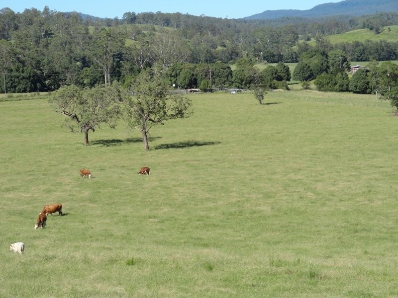 742 Ghinni Ghi Road, Kyogle NSW 2474