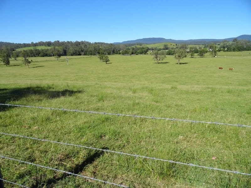 742 Ghinni Ghi Road, Kyogle NSW 2474