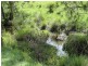 954 Ettrick Stapleton Road, Kyogle NSW 2474