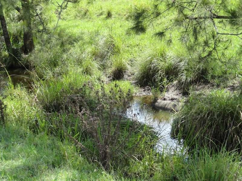 954 Ettrick Stapleton Road, Kyogle NSW 2474