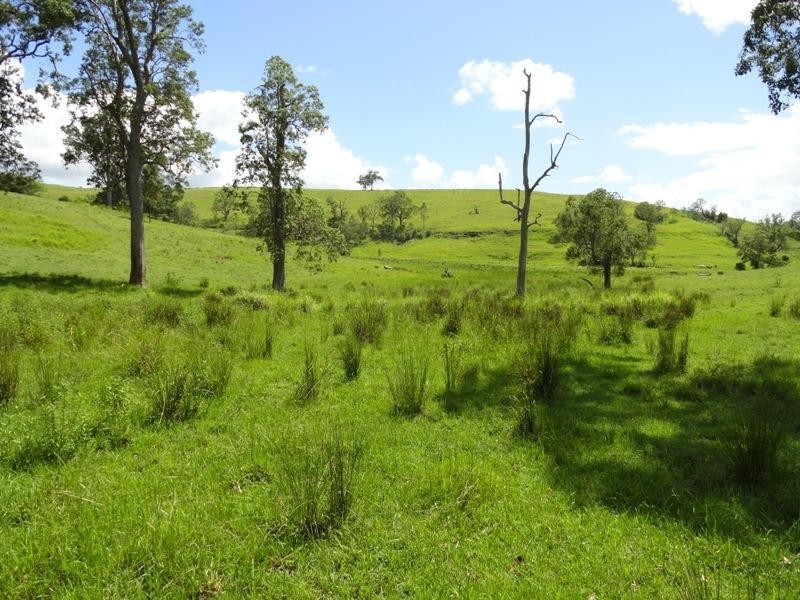 954 Ettrick Stapleton Road, Kyogle NSW 2474
