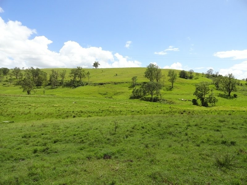 954 Ettrick Stapleton Road, Kyogle NSW 2474