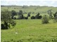 954 Ettrick Stapleton Road, Kyogle NSW 2474