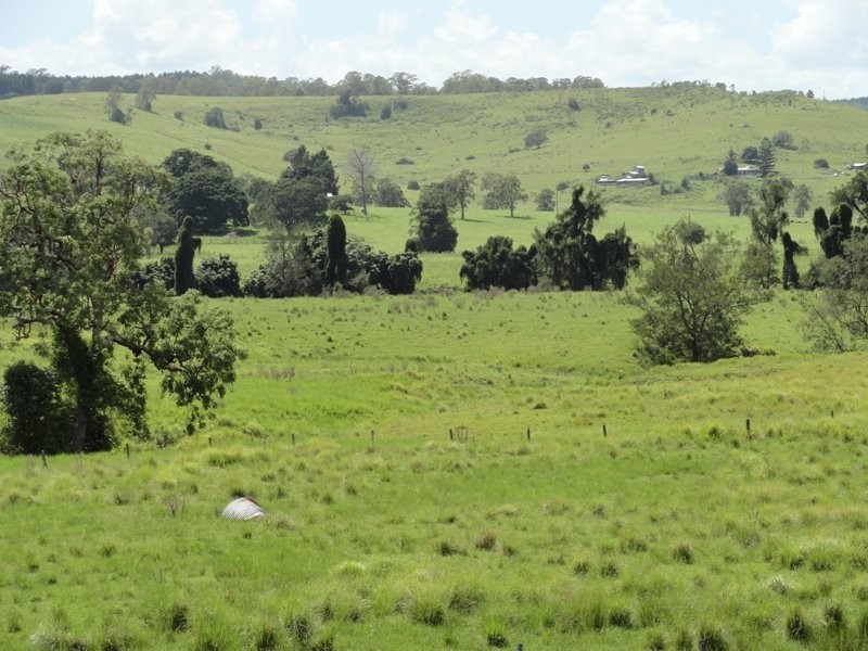 954 Ettrick Stapleton Road, Kyogle NSW 2474