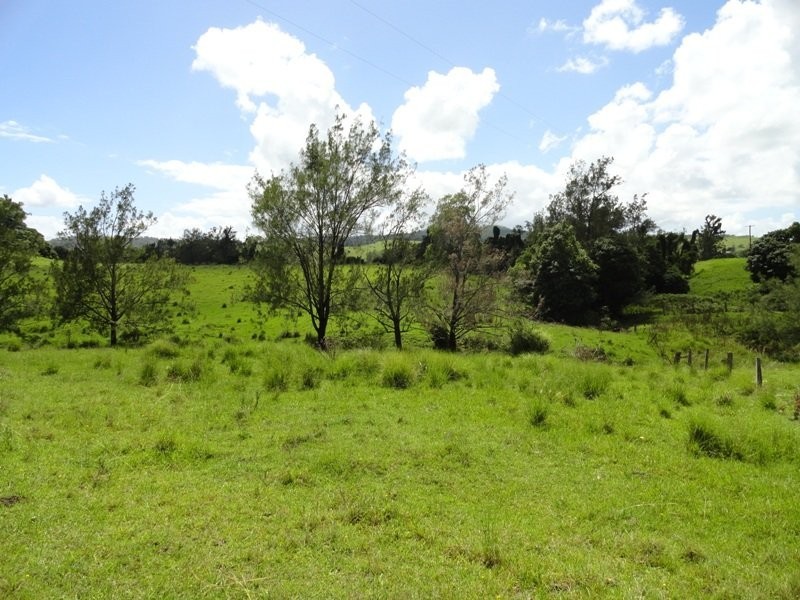 954 Ettrick Stapleton Road, Kyogle NSW 2474