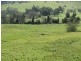 954 Ettrick Stapleton Road, Kyogle NSW 2474