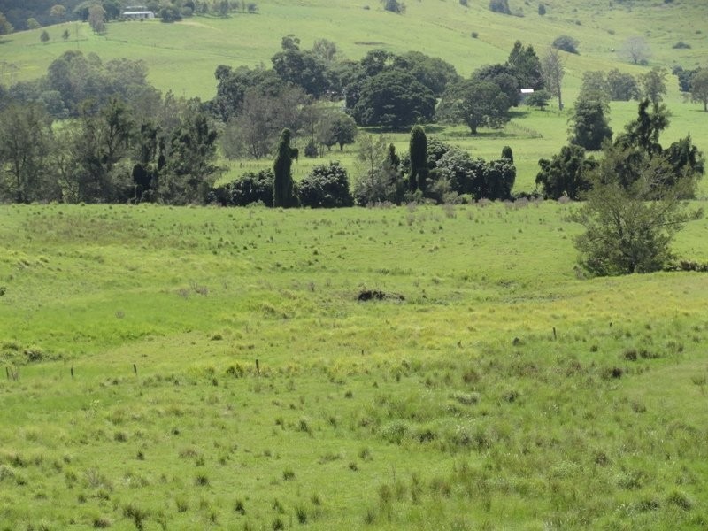 954 Ettrick Stapleton Road, Kyogle NSW 2474